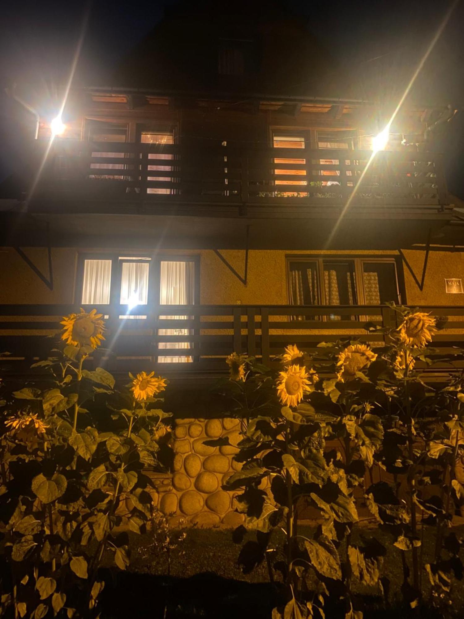Pokoje Goscinne Maja بيالكا تاترزانسكا المظهر الخارجي الصورة